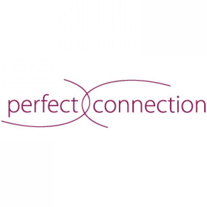 PERFECT CONNECTION LOGO